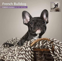 Over Dieren Kalender 2016 French Bulldog Traditional #95;_30x30 Cm