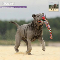 Over Dieren Kalender 2016 Shar Pei Traditional #95;_30x30 Cm
