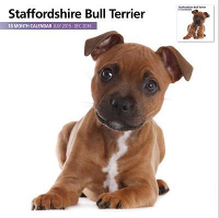 Over Dieren Kalender 2016 Staffordshire Bull Terrier Modern #95;_30x30 Cm