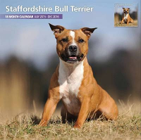 Over Dieren Kalender 2016 Staffordshire Bull Terrier Traditional #95;_30x30 Cm
