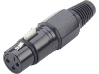 Paccs Hst31 Xlr Stekker