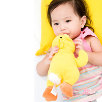 Pacifier Animals Plush Toy Milk Bottle Baby Duck Tortoise Doll