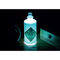Harry Potter Potion Bottle Light