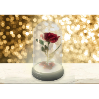 Disney: Beauty and the Beast   Enchanted Rose Ligh
