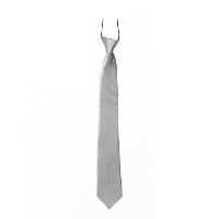 Carnaval stropdas zijdeglans   zilver   polyester   heren dames   verkleed accessoires
