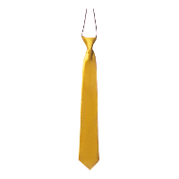 Carnaval verkleed accessoires stropdas zijdeglans   goud   polyester   heren/dames