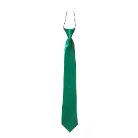 Carnaval verkleed accessoires stropdas zijdeglans   groen   polyester   heren/dames