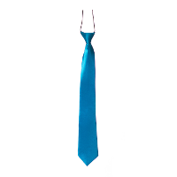 Carnaval verkleed accessoires stropdas zijdeglans   kobalt blauw   polyester   heren/dames