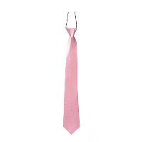 Carnaval verkleed accessoires stropdas zijdeglans   lichtroze   polyester   heren/dames