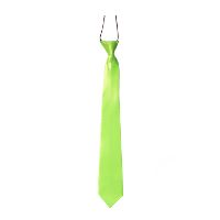 Carnaval verkleed accessoires stropdas zijdeglans   limegroen   polyester   heren/dames