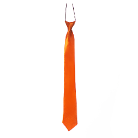 Carnaval verkleed accessoires stropdas zijdeglans   oranje   polyester   heren/dames