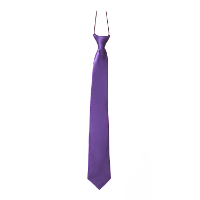 Carnaval verkleed accessoires stropdas zijdeglans   paars   polyester   heren/dames
