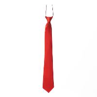 Carnaval verkleed accessoires stropdas zijdeglans   rood   polyester   heren/dames