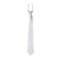 Carnaval verkleed accessoires stropdas zijdeglans   wit   polyester   heren/dames
