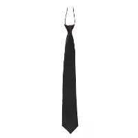 Carnaval verkleed accessoires stropdas zijdeglans   zwart   polyester   heren/dames