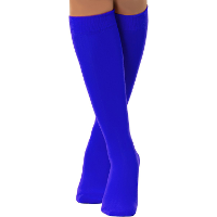 Verkleed kniesokken/kousen   donkerblauw   one size   voor dames
