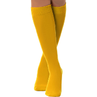 Verkleed kniesokken/kousen   geel   one size   voor dames