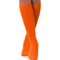 Verkleed kniesokken/kousen   oranje   one size   voor dames