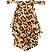 Carnaval verkleed panter befje/boordje   mini stropdas   diamanten   accessoire