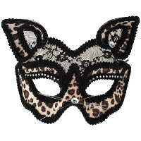 Carnaval verkleed panter masker   kanten oogmasker   zwart   voor dames   foute/panter party