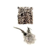 Spaanse of Hawaii thema haarbloem   zilver   met speld/elastiek   verkleden   kunststof