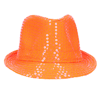 Verkleed hoedje Koningsdag/Nederland   oranje   volwassenen   met pailletten glitters