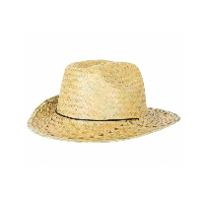 Verkleed hoedje voor Tropical Hawaii Beach party   Stro hoed   volwassenen   Carnaval