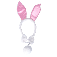 Verkleed set bunny   3 delig   roze / wit   pluche   verkleed accessoires   konijn / paashaas