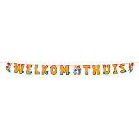 PartyXplosion Welkom Thuis letterslinger   Rood/Wit/Blauw   3 m   papier