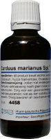 Pascoe Carduus Marianus Similiaplex