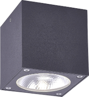 Paul Neuhaus 9674 13 Georg Buitenplafondlamp LED 7 W Antraciet