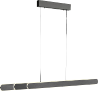 Paul Neuhaus ADRIANA ROUND 2577 18 LED hanglamp LED LED vast ingebouwd 48 W Zwart