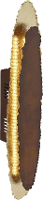 Paul Neuhaus NEVIS 9281 48 LED wandlamp 9 W Energielabel: LED Warm wit Roest, Bladgoud (glanzend)