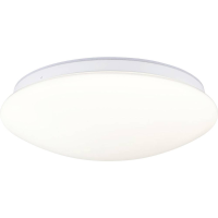Paulmann 75406 Leonis II IP44 3000   5700K 1750lm 230V 16,5W dimmbar Plafondlamp LED 16.5 W Wit