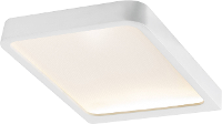Paulmann LED opbouwlamp Set van 2 stuks