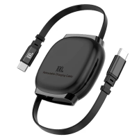 PD100W Type C naar Type C uitrekkbare kabel PD snelladen dataoverdracht koperen kernlijn 35cm 100cm telescopische lengte
