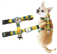 Petbrands Tuig Voor Hond Aap #95;_