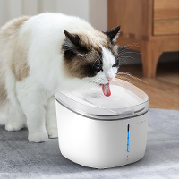 Petoneer 2L Pet Smart Fountain USB Dispenser Drinkbak Kattenvoeder Puppy Intelligente hondenbenodigdheden Ultrastille po