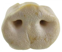 10X8x4 Cm Petsnack Varkensneuzen