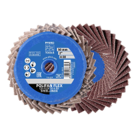 PFERD TOOLS 42719800 Schuurschijvenset Diameter 50 mm Korrelgrootte (num)=40 10 stuk(s)