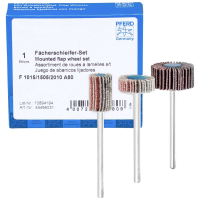 PFERD TOOLS 44498031 Lamellenslijper 1 set(s)