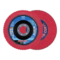 PFERD TOOLS 67698056 Lamellenschuurschijvenset Diameter 125 mm Korrelgrootte (num)=60 2 stuk(s)