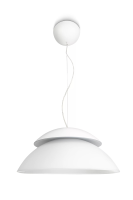 LED vast ingebouwd 18 W RGBW