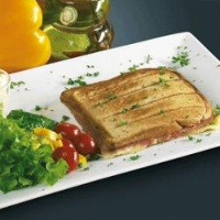Fritel Set bakplaten tosti / Sandwich
