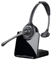 CS510 DECT