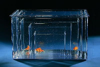 Plastic Aquarium Extra Large #95;_40,5x25,7x22 Cm
