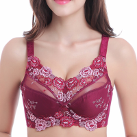 Plus Size B H Sexy Lace Nice Embroidery Mesh Bra Ultra Thin Push Up Full Cup Bras For Women