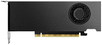 PNY Nvidia Quadro RTX 4000 Videokaart Ada Generation 20 GB GDDR6 RAM PCIe x16 Mini DisplayPort Low Profile