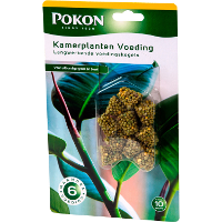 Kamerplanten Voedingskegels, 10 stuks