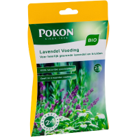 Lavendel Voeding 2 5 Planten